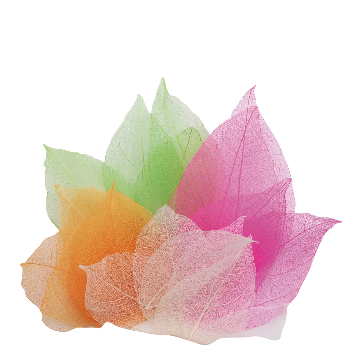 Hülle, Blätter, Transparente Blätter, Blättermix, Dekoration, papier-blumen, deko-blume, transparente blätter, bunte farben, lagen-bleiche blätter