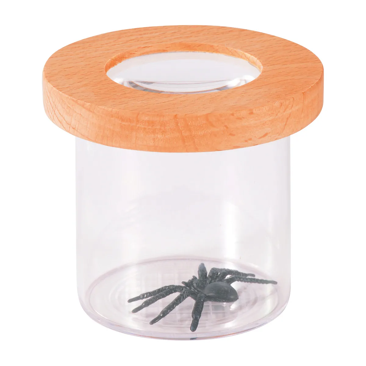 Glasbehälter, Holzdeckel, Spinne, Dekorationsglas, durchsichtiger Behälter, Glasbehälter, Spinne, Außenmodell, Display, Laborartikel