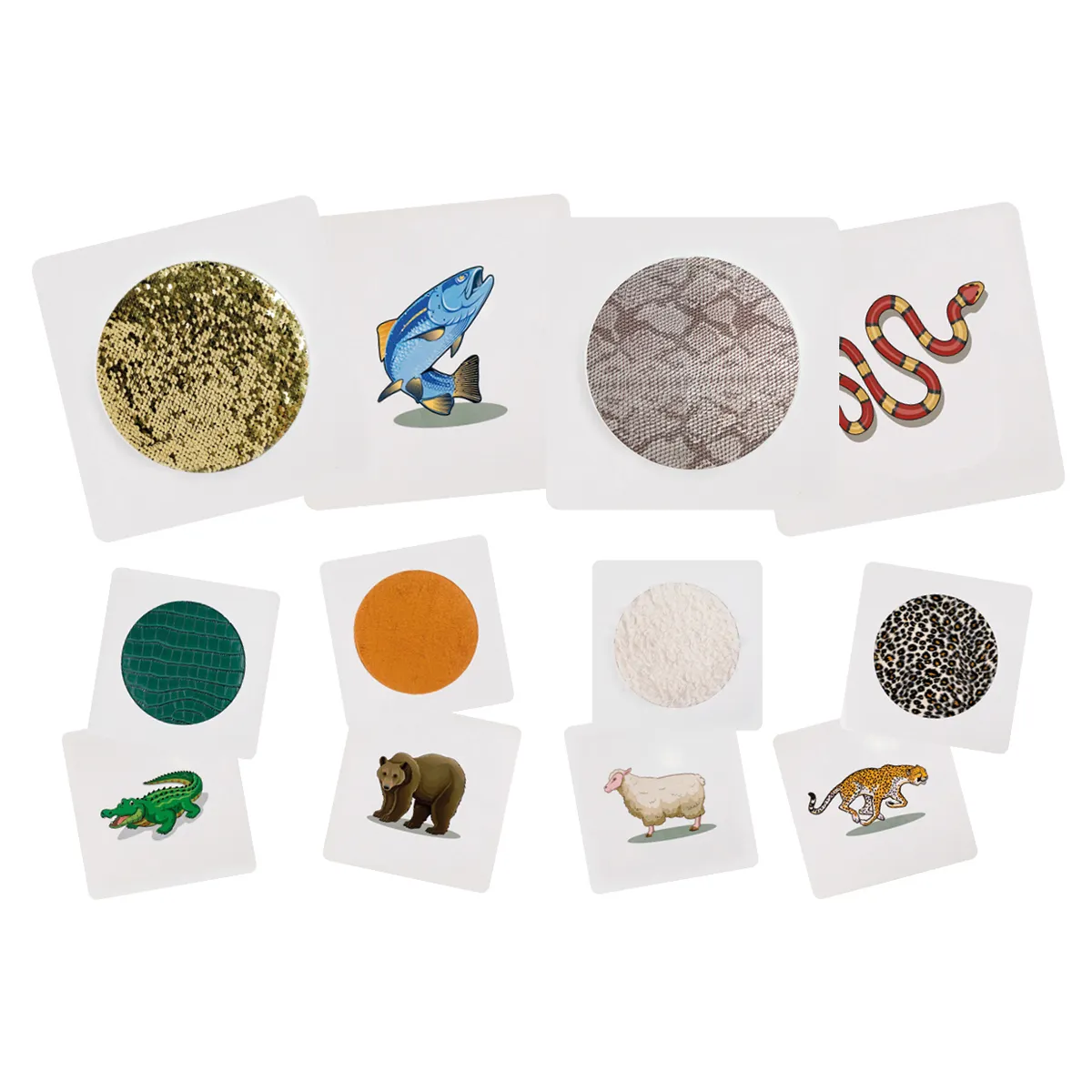 glitter, Sequins, Schlangenhaut, Krokodille, Leopardendruck, glitzernder Kreis, Schlangenhaut, Tierkarten, oranger Kreis, grüner Krokodil
