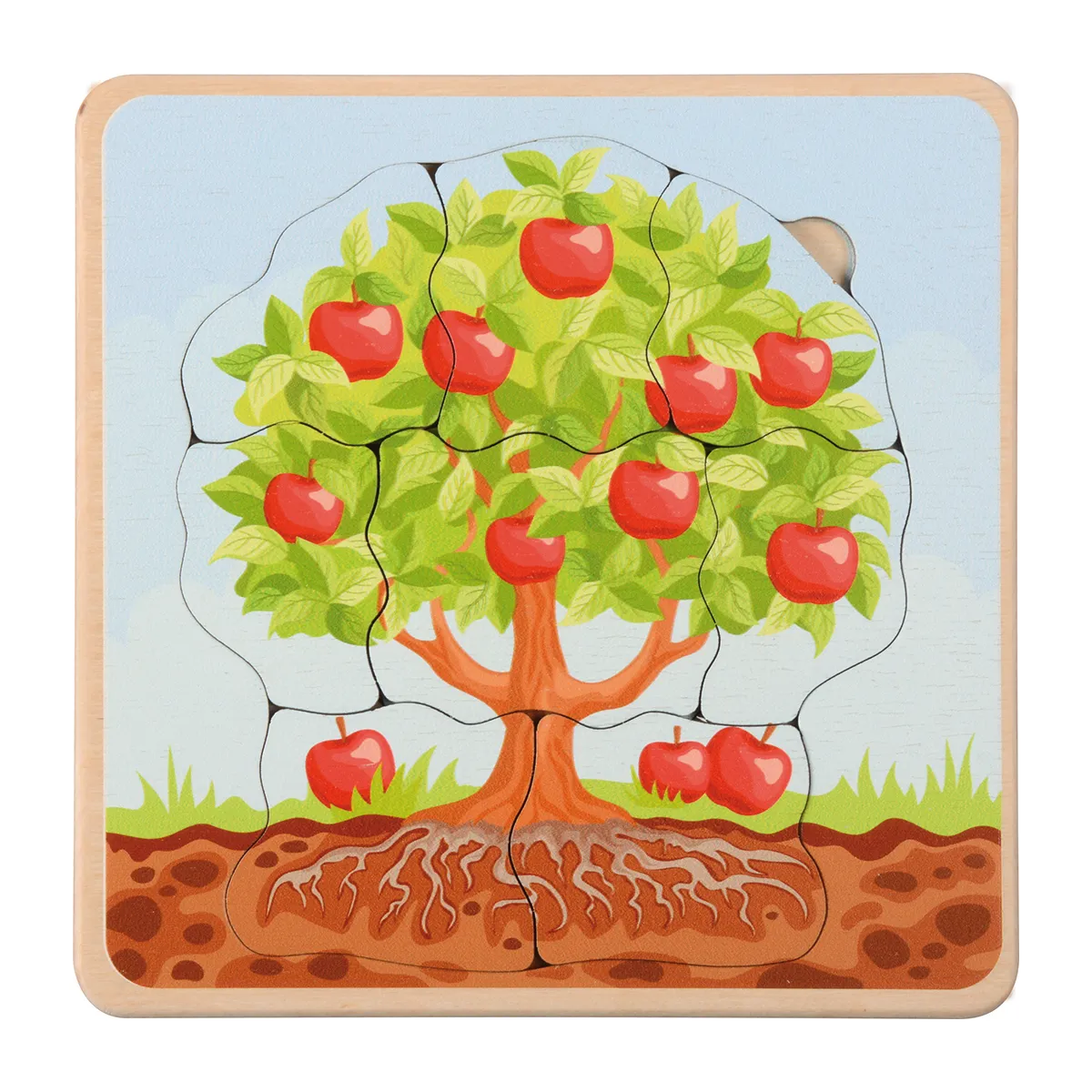 Holzpuzzle, Apfelbaum, Baum, Waldboden, Apfel, Apfelbaum, Baum, Puzzle, Holzpuzzle, Wurzeln