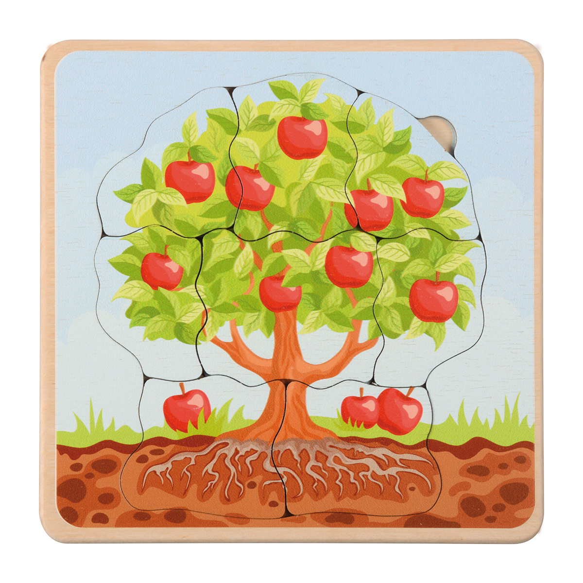 Holzpuzzle, Apfelbaum, Baum, Waldboden, Apfel