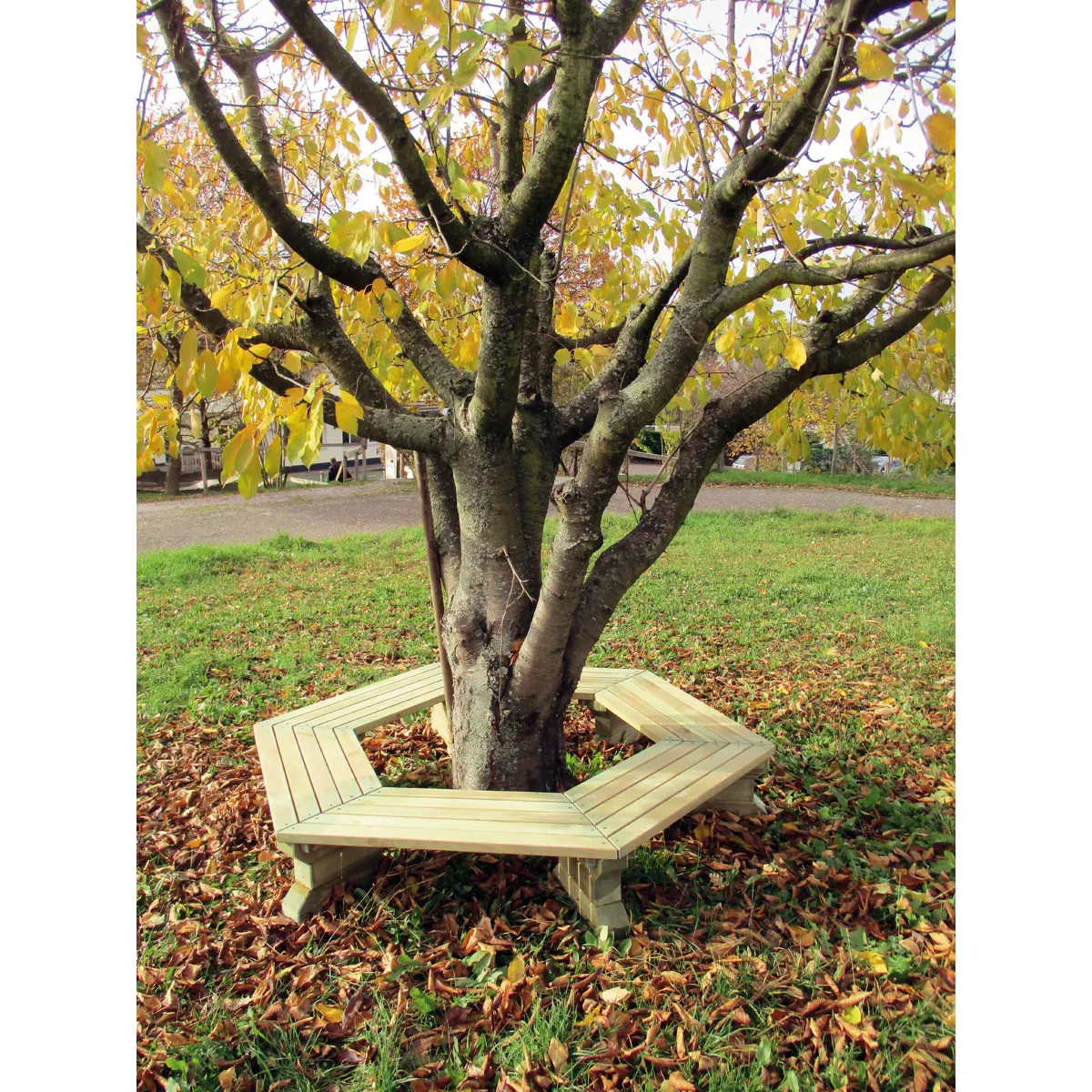 Baum, Holzbank, Sitzbank, Holz, Umgebung, baumscheibe, holzbank, baum, holz, grün