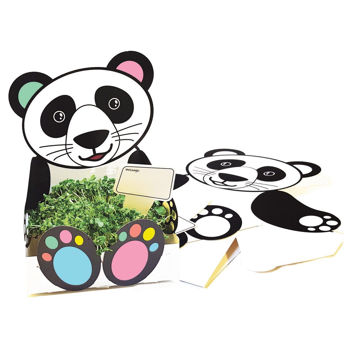 Panda, Papierbox, Gras, Kartonfigur, Kuscheltier, Panda, Panda-Papier, Kutebox, Kartenbox, Pappdekoration