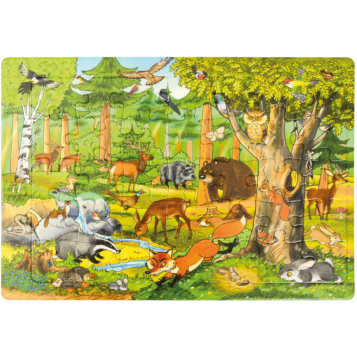 Waldszene, Tiere, Natur, Säugetiere, Vögel, Waldszene, Tiere, Tierwald, Tiere im Wald, Natur-Landschaft