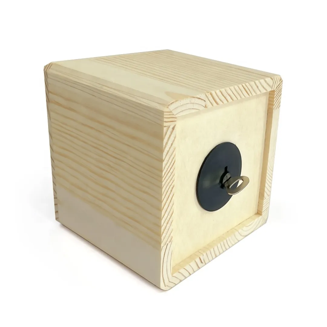 Spardose Holz