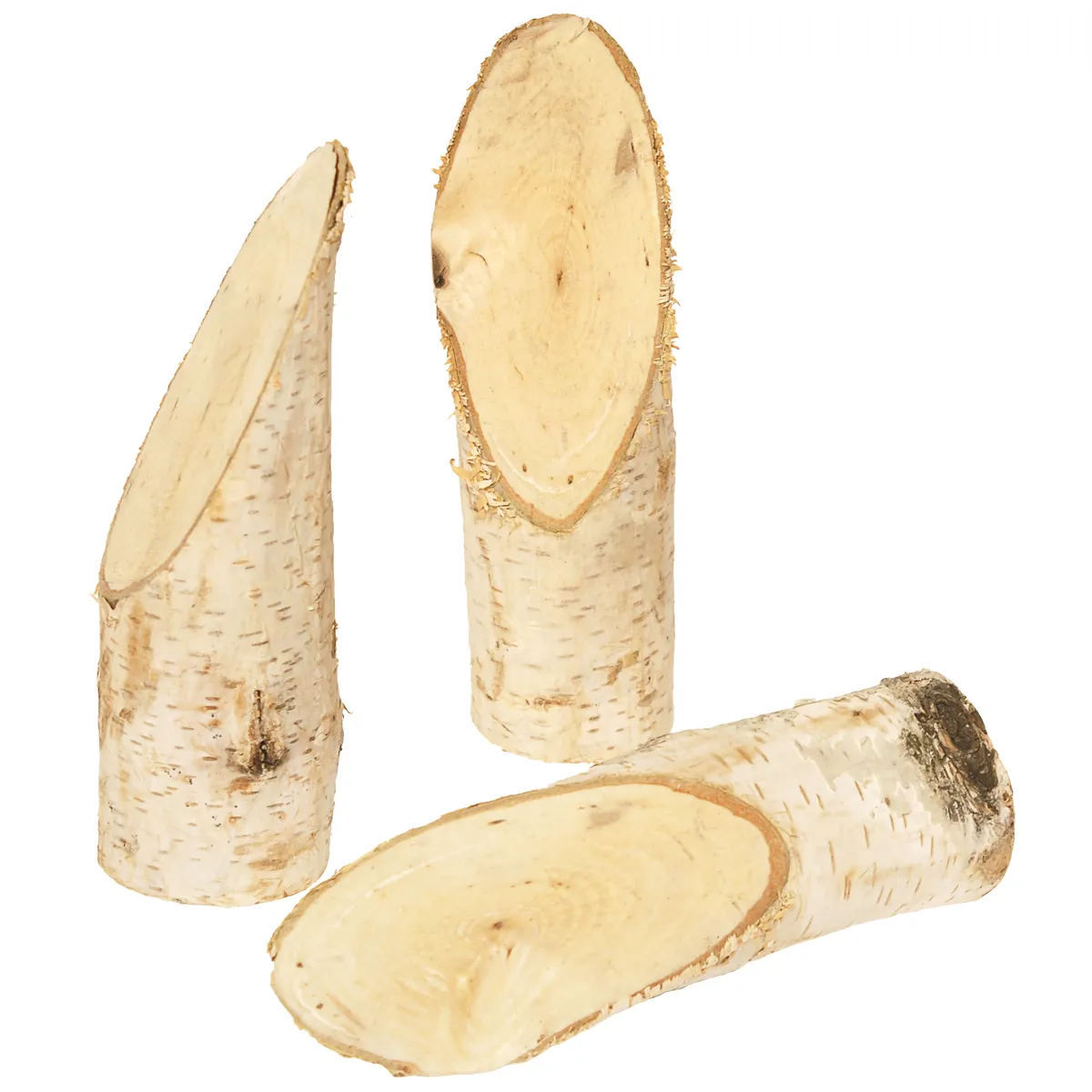 holzstMD, birke, holzstab, zweige, holzschnitt, Birke Holz, Holzscheiben, Baumstammabschnitte, Naturholz, Querschnitt
