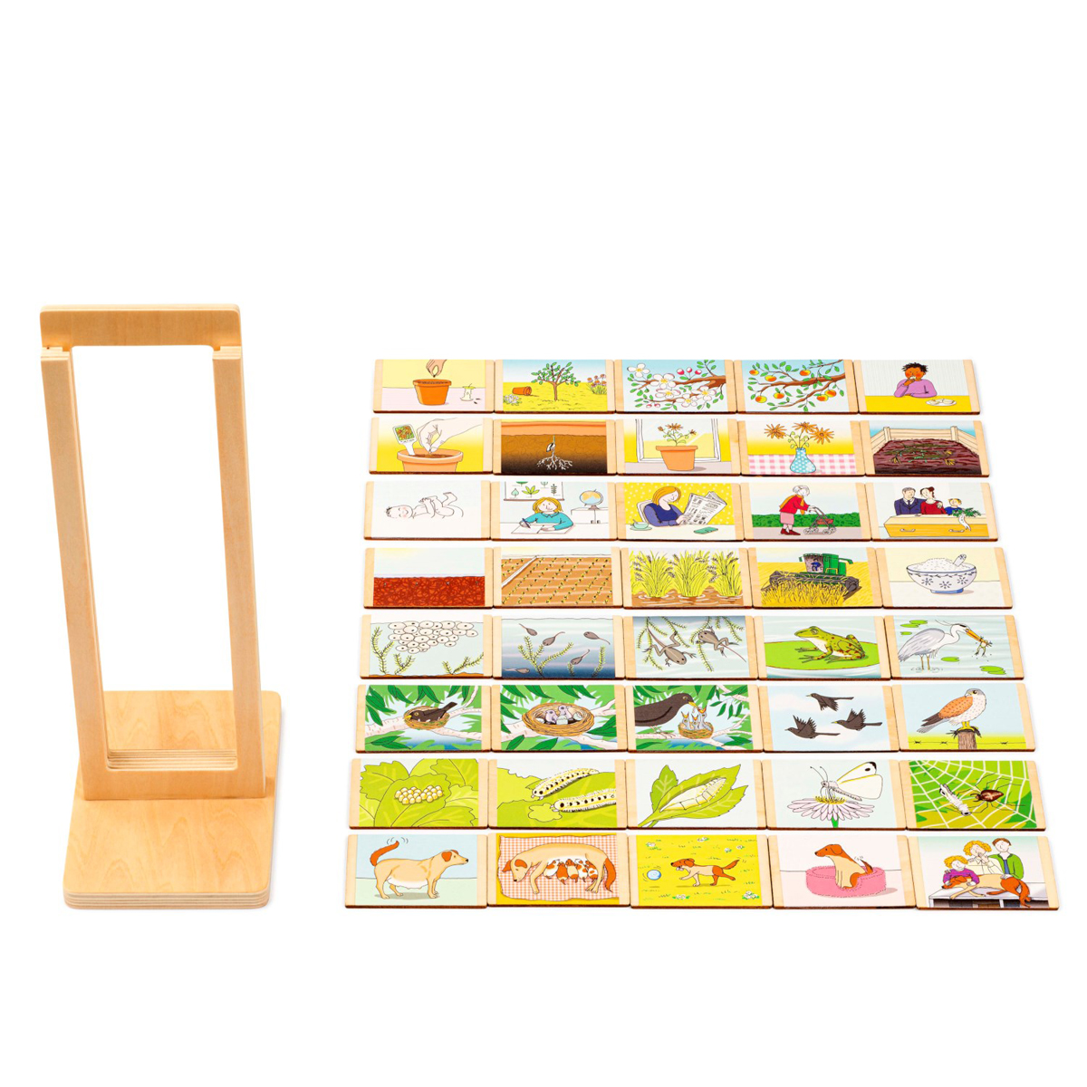 Holzständer, Puzzle-Karten, Lerntafel, Holzklötze, Bilderserie