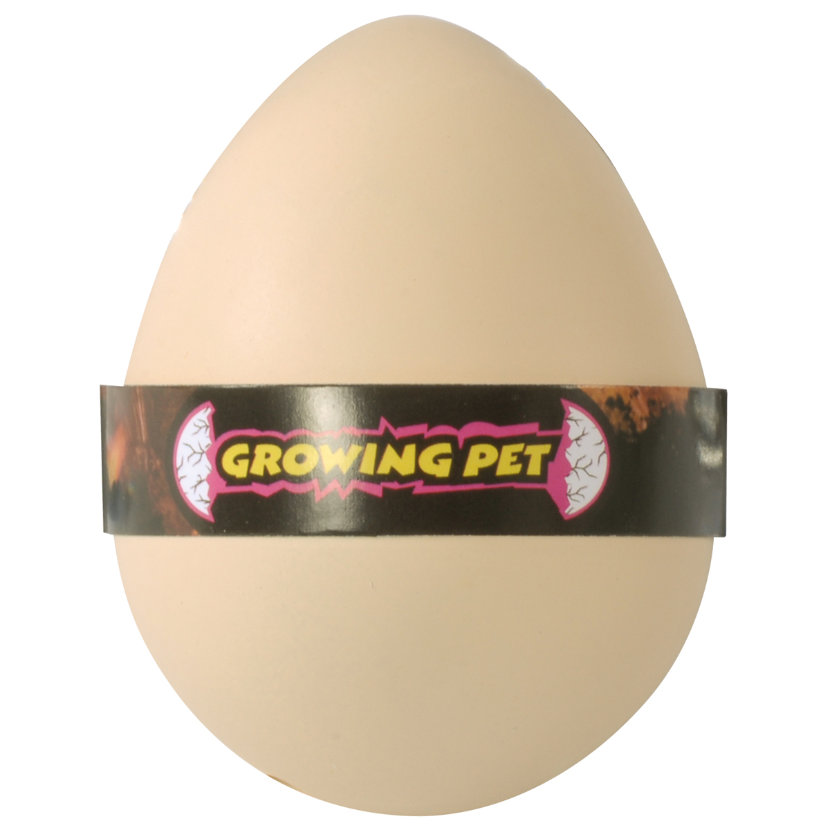 Ei, Egg, Schale, Haarig, Growing Pet, Ei, Henneiier, Hühnerhühnerei, Eierbecher, Growing Pet