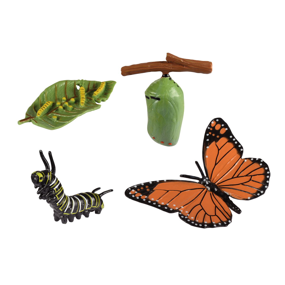Insektenmodell, Schmetterling, Blattfarn-ähnlich, Larvenfigur, Käfer-Set