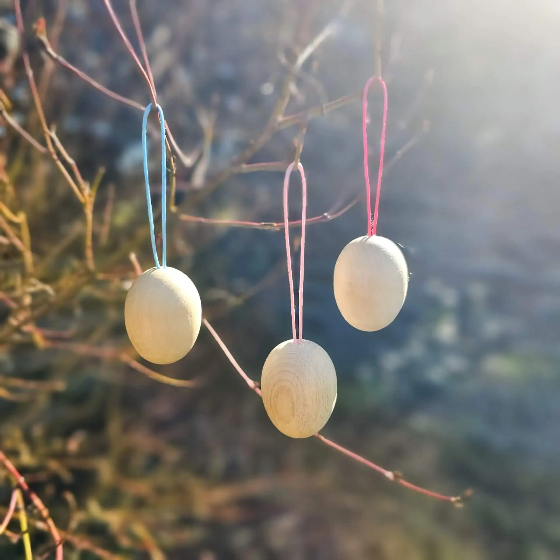 Wooden Easter eggs "medium"