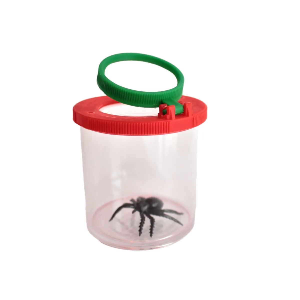 Kleiner Behälter, Insektenglas, Kunststoffbehälter, Fassungsvermögen klein, Orb?, insektenbehälter, spinnenpräparat, kunststoffglas, grüner deckel, schnappdeckel